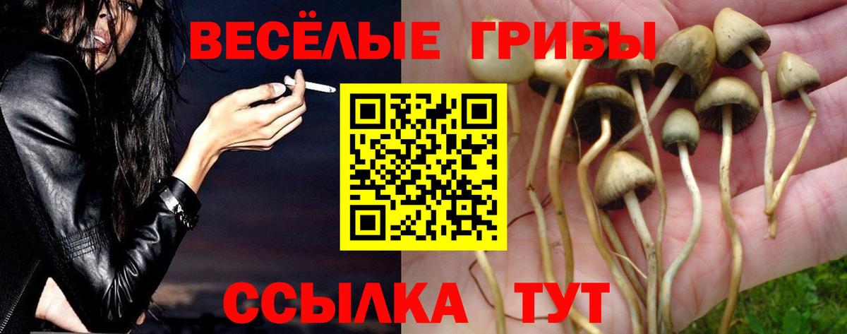 Псилоцибиновые грибы ЛСД Зеленодольск